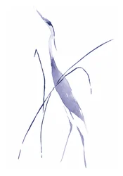 Elegantní volavka modrá