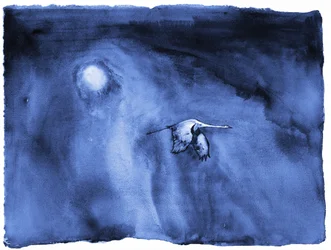 Solo Migration – Lumaprints