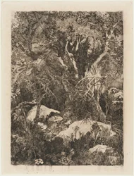 Les Fontainebleau