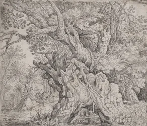 Sukovitý strom, ca. 1608-09.