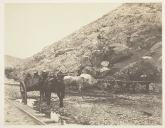 Dobytek a vozy, opouštějící Balaklavu, 1855.
