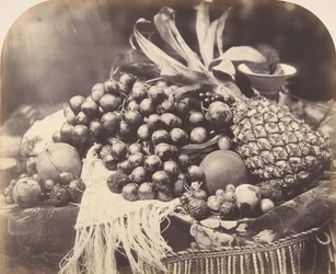 Zátiší s ovocem, 1860.