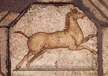 Kůň, detail z mozaiky Orfeus okouzluje zvířata (mozaika)
