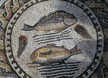 Ryby, mozaika v římském městě Volubilis (Seznam světového dědictví UNESCO)