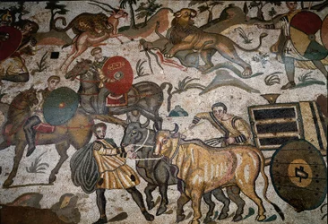 Římské umění: detail mozaiky „“ Velká lovecká část““ Char tahá voly. 315-350 našeho letopočtu. Piazza Armerina, Villa Romana del Casale