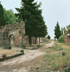 Graves Way a Herculaneum Gate