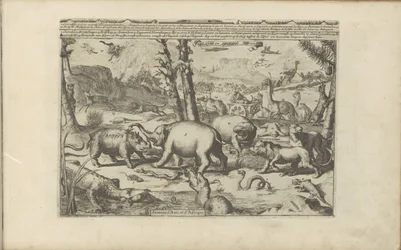 Aziatische en Afrikaanse dieren Aziatische en Afrikaanse dieren / Zvířata Asie a Afriky (název na objektu) Východní a Západní Indie a další místa (název série)
