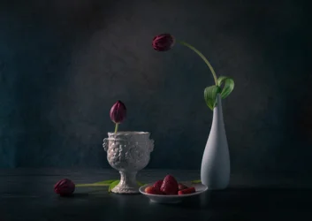 Melancholické tulipány a jahody