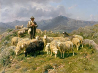 Pyrenejský pastýř