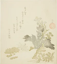 Obří ředkev (daikon), chryzantémy a kapradiny
