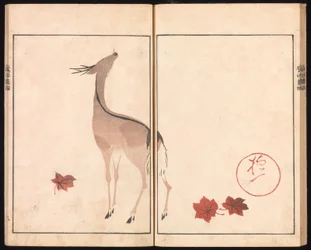 Obrazové album Ōson (Hōitsu) (Ōson gafu)