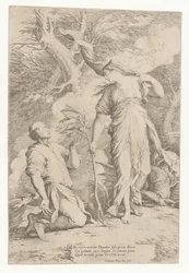 Ceres a Phytalus