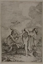 Glaucus a Scylla