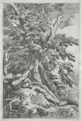Svatý Vilém poustevník, c. 1662.