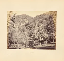Simla; Jakko, z "Oakover" (Celkový pohled z Tonga Road)