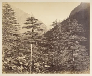 Zasněžené vrcholky poblíž Gangootri z Bhairamghati. Fotograf: Bourne, Samuel Album fotografií Indie, především od Samuela Bourne1866