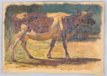 Kresba, studie. Krávy, srpen 1876