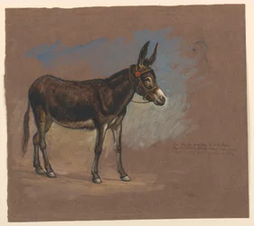 Kresba, Studie. Mezek, 1872-75