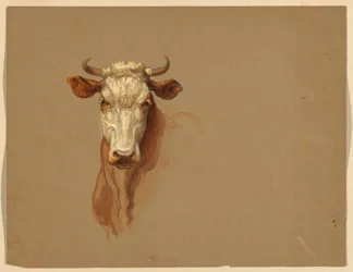 Kresba, Dvě studie.  Dobytek, 1876