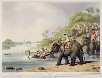 Chasing a Tiger over a River, od Oriental Field Sports, hospoda. Edward Orme, 1807 (tisk)
