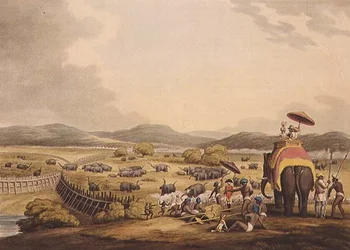 Driving Elephants Into A Keddah, od "Oriental Field Sports", hospoda. od Edwarda Orma