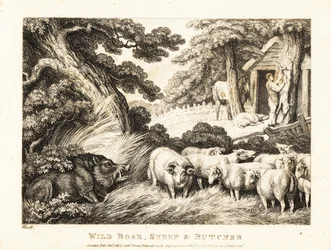 Stádo ovcí čeká na porážku řezníkem. 1811 (lept)