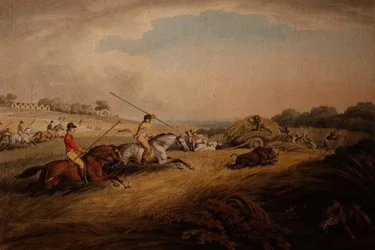 Hog Chase – Across Fields, z ‚Orme