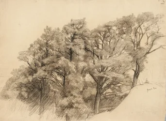 Krajina se stromy, 1884 (uhlí na leštěném papíře)
