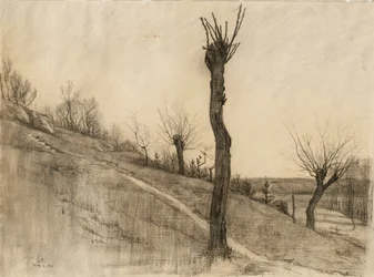 Pozdní zimní krajina, 1884 (uhlí na leštěném papíře)