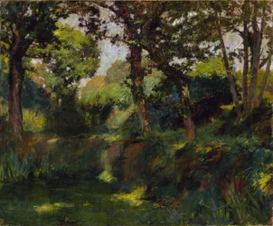 Zalesněná krajina, konec 19.-začátek 20. století.
