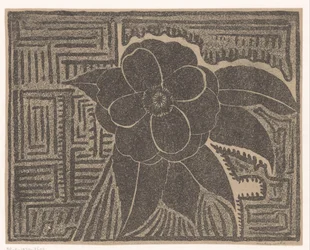 Kamélie (černá; kolem bludiště)