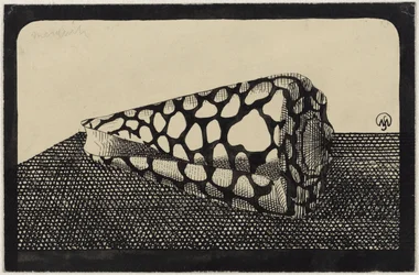 Shell, vlevo