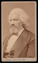 Portrét Fredericka Douglasse 1817-1895, 1878.