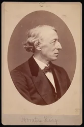 Portrét krále Horatio 1811-1897, mezi 1876 a 1880.