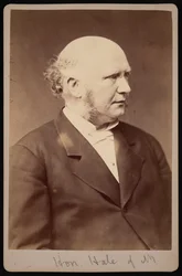 Portrét Roberta Safforda Halea 1822-1881, před rokem 1881.