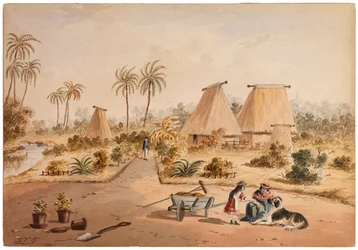 The Homestead, Savu Bay, Fidži, 1870