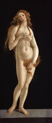 Německy: Venus Venus
