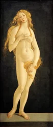 Venuše