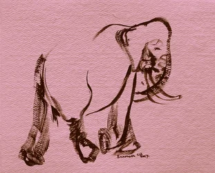Obrázek 2928