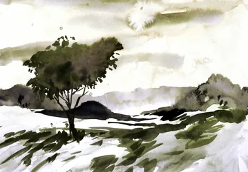 Krajina Lone Tree