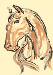 Majestátní profil koně