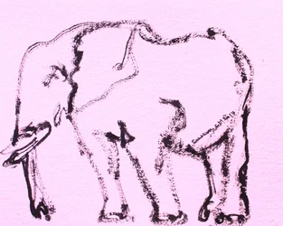 Skica růžového slona