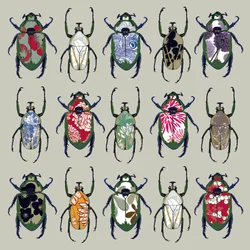Beetledrive, 2008 (digitální)