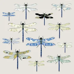 Odonata, 2008 (digitální)