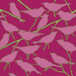 Paradiso, 2008 (digitální)