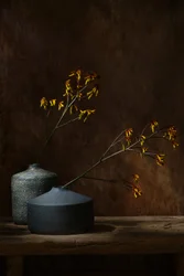 Náladové botanické vázy