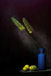Náladové žluté květiny a citrony