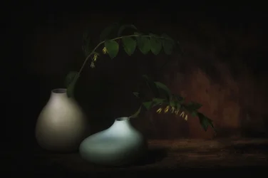 Klidné botanické zátiší