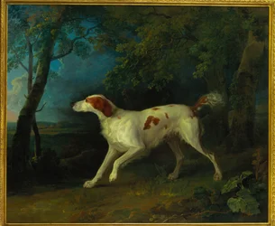 Hnědobílý setr v zalesněné krajině, 1773