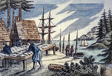 Rybáři sušící tresku v Nové Anglii, z dřevorytu ze 17. století (barva litho)